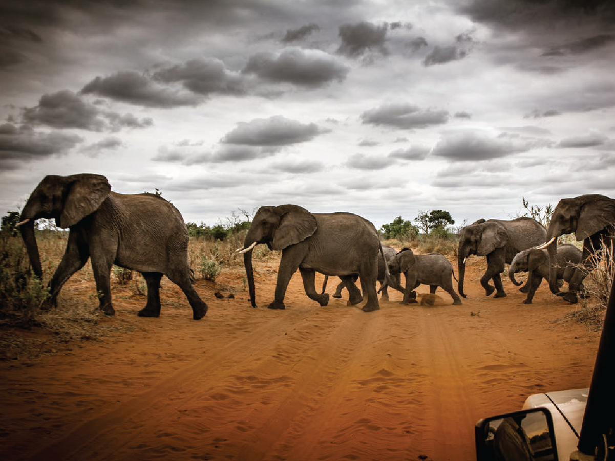 Inland safari 05 DAYS MID-RANGE SAFARI FOR 2 PAX photo