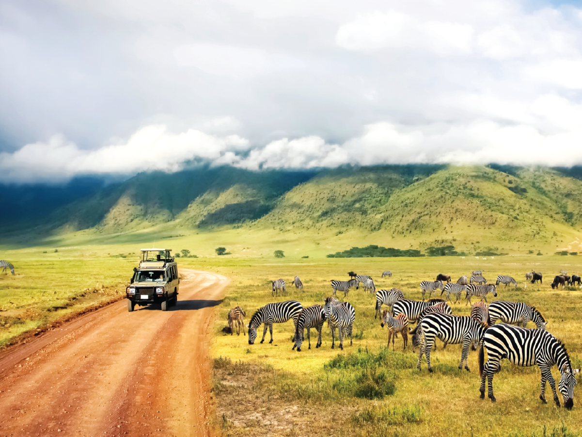 Inland safari 08 day Mid-range safaris for 6 pax per vehicle
This is a very special for July, August, September & October