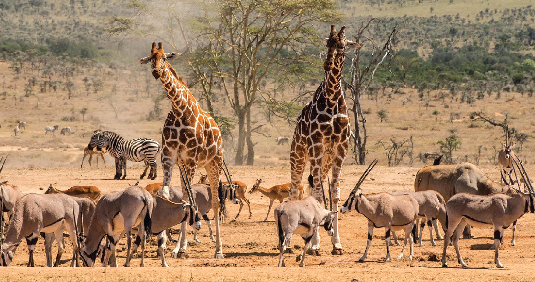 Inland safari tour itenaries